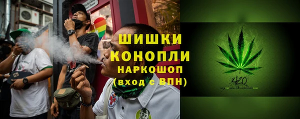 шишки Алексеевка
