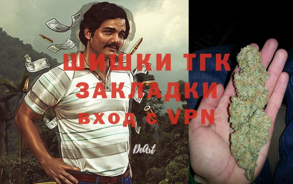 шишки Алексеевка