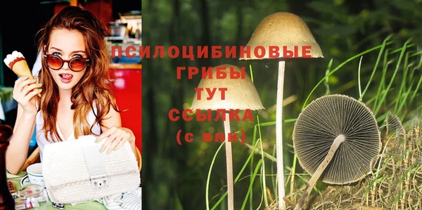 2c-b Алексин